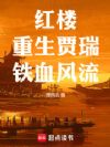 红楼:重生贾瑞,铁血风流